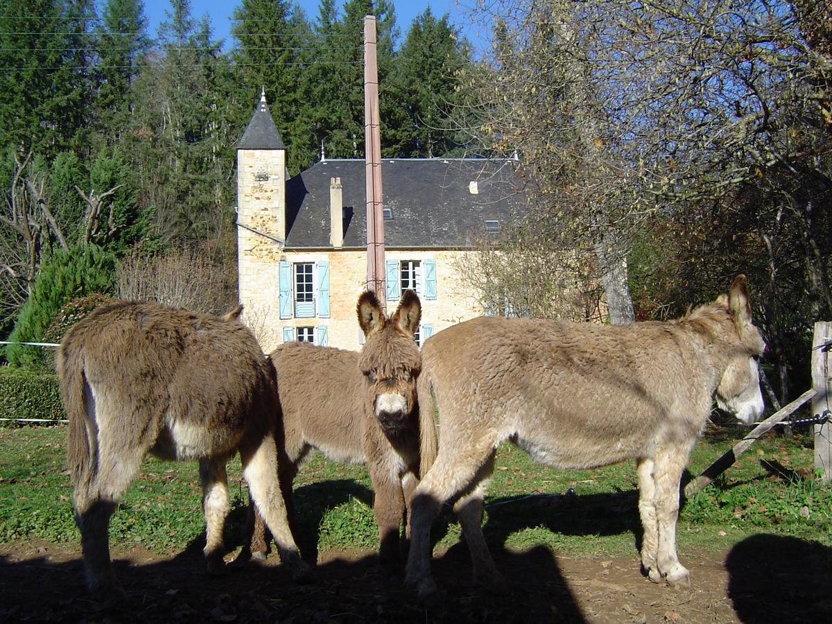 Le Moulin De Planiol Bed & Breakfast Le Vigan  Luaran gambar